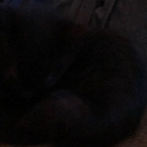 Meet your Posher, Hope